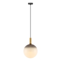 Zuma Line - Luster na sajli 1xE27/25W/230V, promjer 30 cm, zlatna/crna
