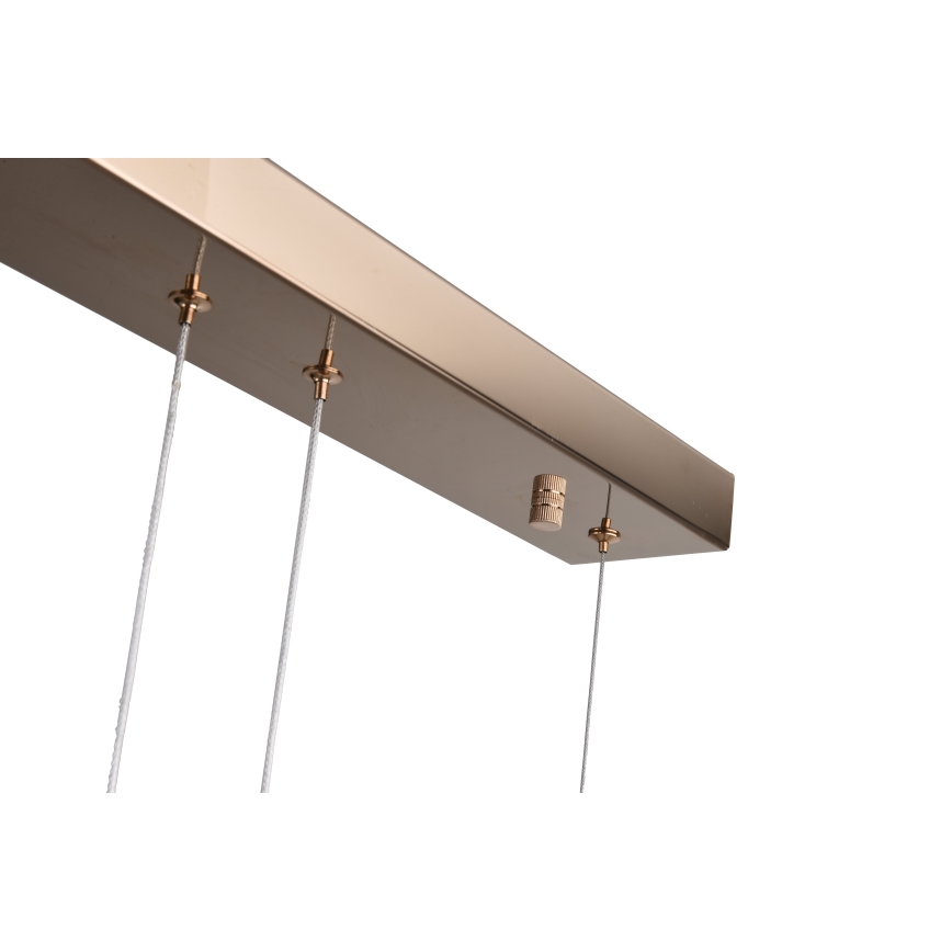 Zuma Line - LED luster na sajli LED/36W/230V rosé zlato