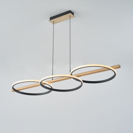 Zuma Line - LED Prigušivi luster na sajli LED/35W/230V