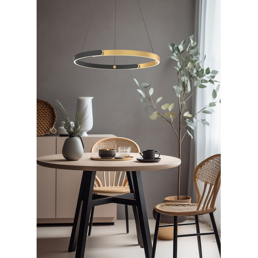 Zuma Line - LED Prigušivi luster na sajli LED/30W/230V crna/zlatna