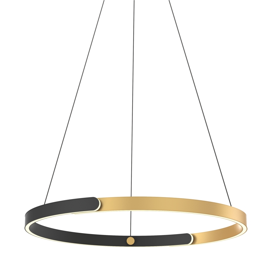 Zuma Line - LED Prigušivi luster na sajli LED/30W/230V crna/zlatna