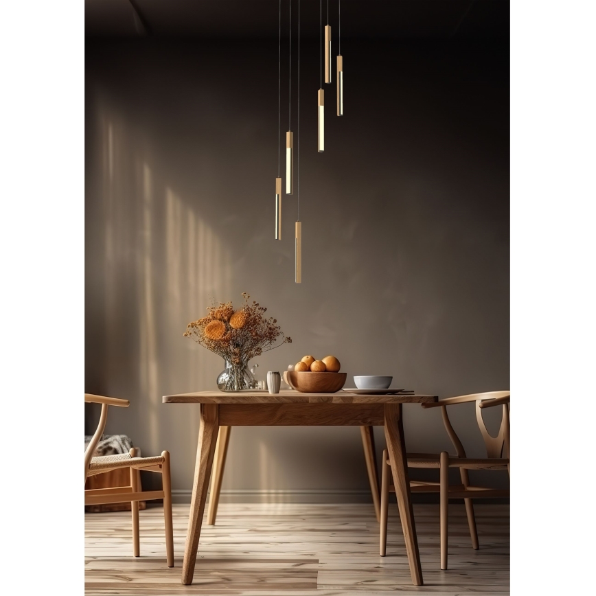 Zuma Line - LED Prigušivi luster na sajli LED/25W/230V