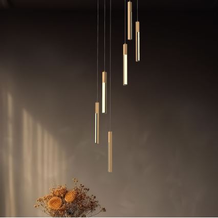 Zuma Line - LED Prigušivi luster na sajli LED/25W/230V