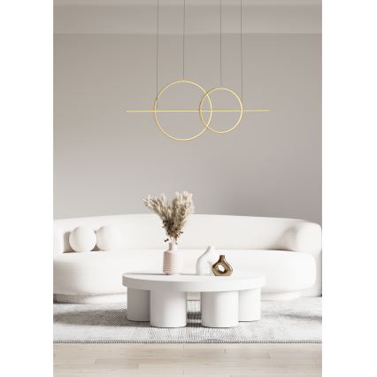 Zuma Line - LED Prigušivi luster na sajli LED/34W/230V zlatna