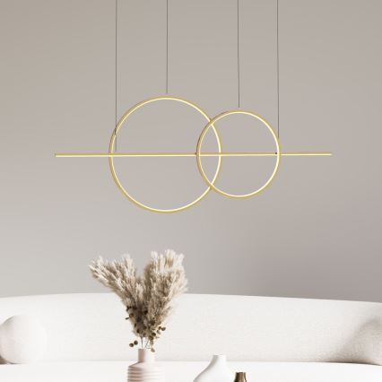Zuma Line - LED Prigušivi luster na sajli LED/34W/230V zlatna