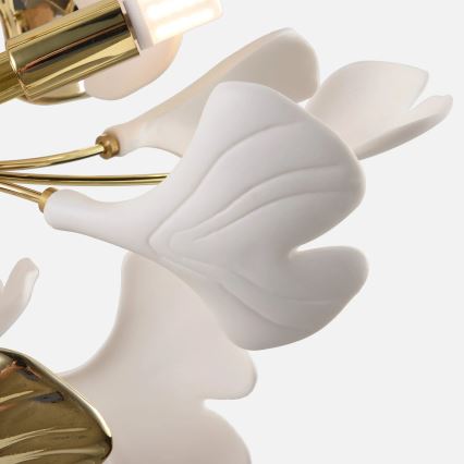 Zuma Line - Stropni luster 6xG9/42W/230V Ø 70 cm zlatna