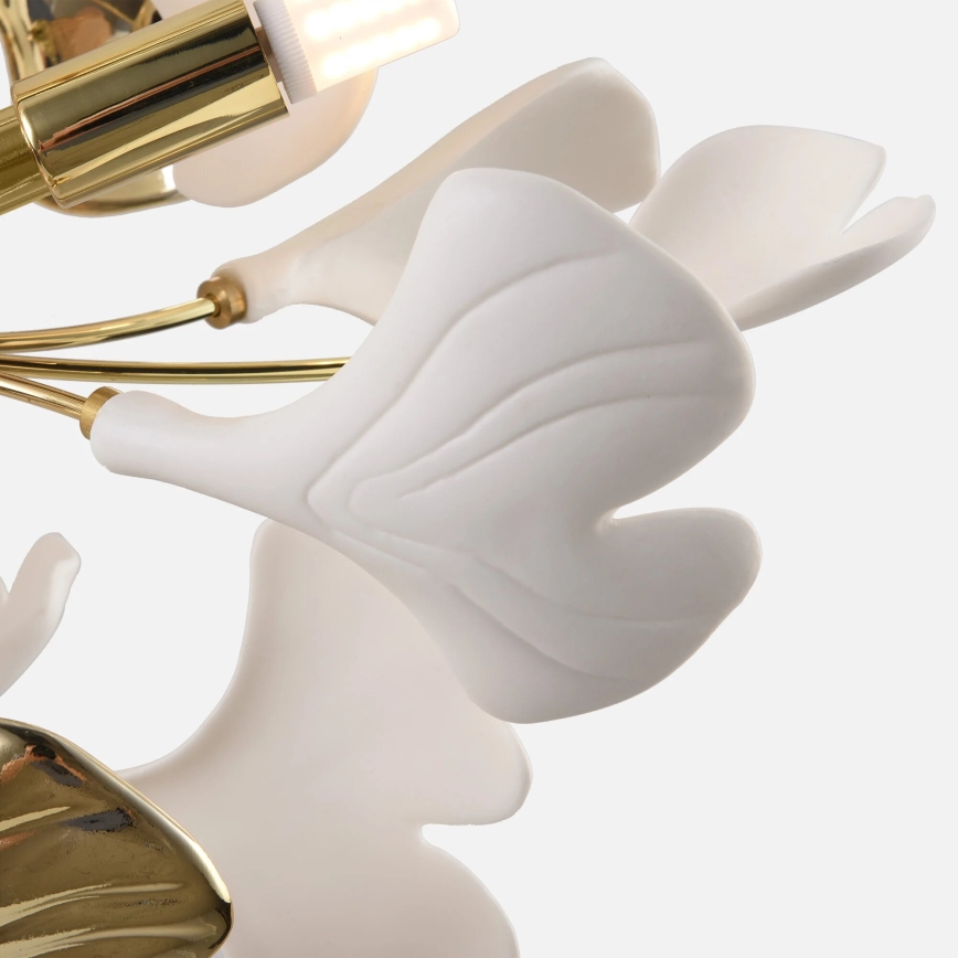 Zuma Line - Stropni luster 6xG9/42W/230V Ø 70 cm zlatna