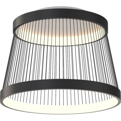 Zuma Line - LED Prigušiva stropna svjetiljka LED/32W/230V 2700-6000K crna + daljinski upravljač
