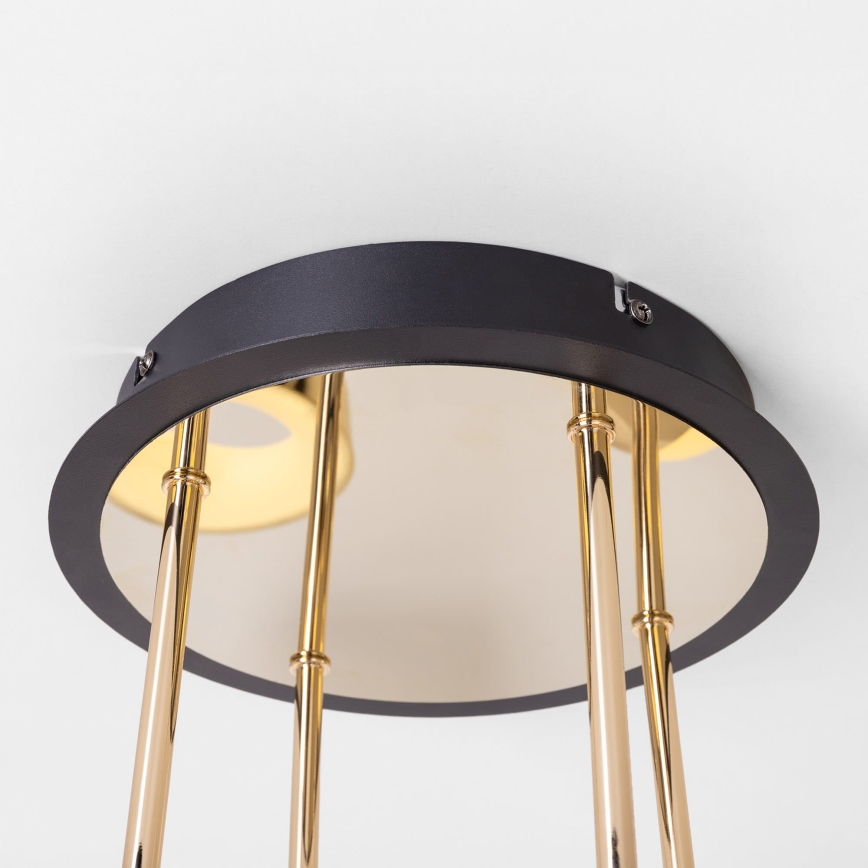 Zuma Line - LED plafonski luster s prigušivanjem LED/60W/230V zlatna/crna