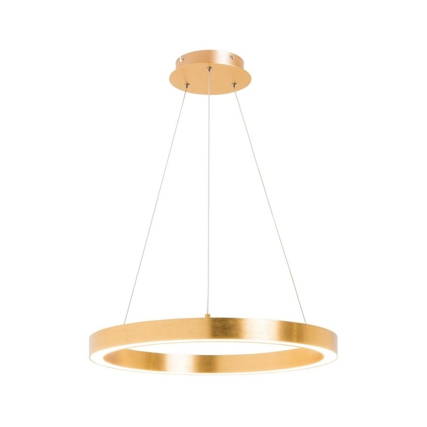 Zuma Line - LED luster na sajli 1xLED/30W/230V 40 cm zlatna