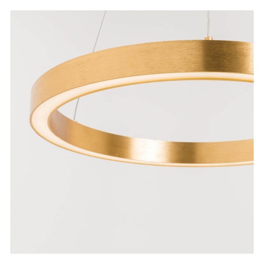 Zuma Line - LED Luster na sajli 1xLED/40W/230V pr. 50 cm zlatna