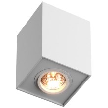 Zuma Line  - Reflektorska svjetiljka 1xGU10/50W/230V bijela