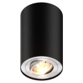 Zuma Line - Reflektorska svjetiljka 1xGU10/50W/230V crna