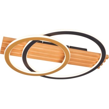 Zuma Line - stropna LED svjetiljka 40W/230V