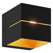 Zuma Line - Zidna svjetiljka 1xG9/40W/230V crna/zlatna